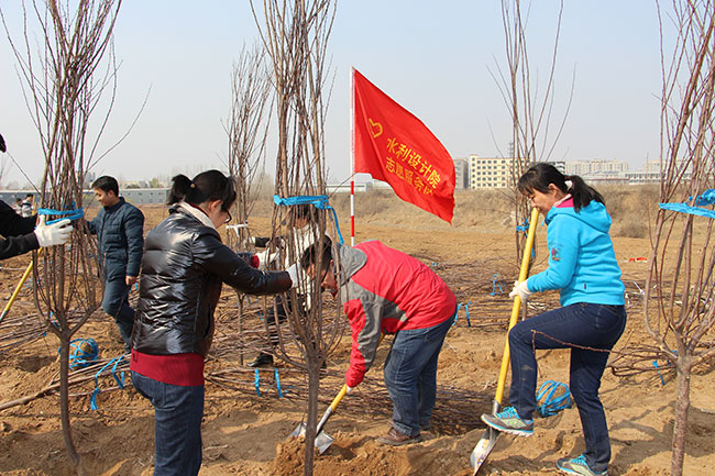 設(shè)計(jì)院干部職工在玉符河畔參加義務(wù)植樹(shù)活動(dòng)